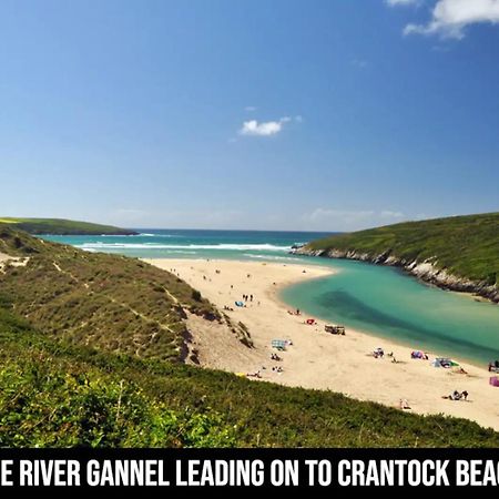 Town Location - 5 Min Walk To Beach - Dog Friendly New Quay Exterior foto