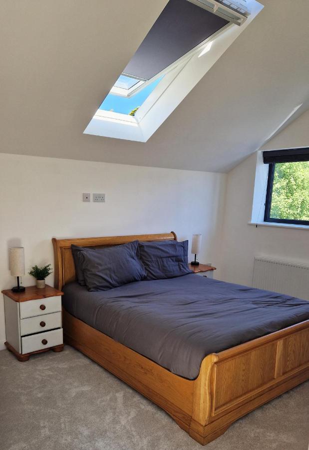 Town Location - 5 Min Walk To Beach - Dog Friendly New Quay Exterior foto